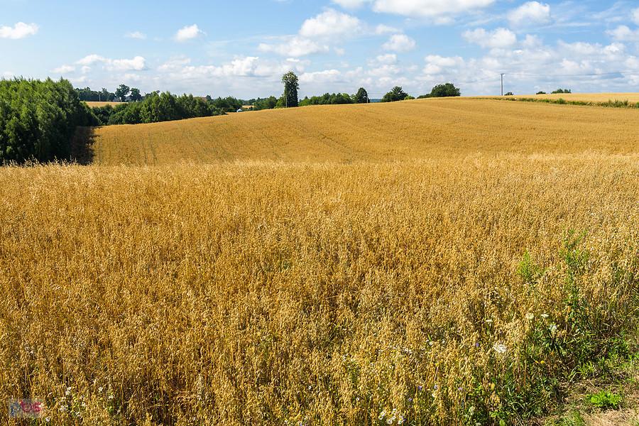 Przymiarki, Mzurów (Niegowa)