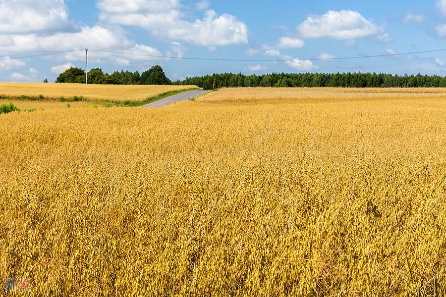 Przymiarki, Mzurów (Niegowa)