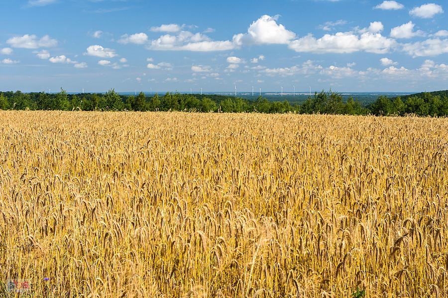 Przymiarki, Mzurów (Niegowa)