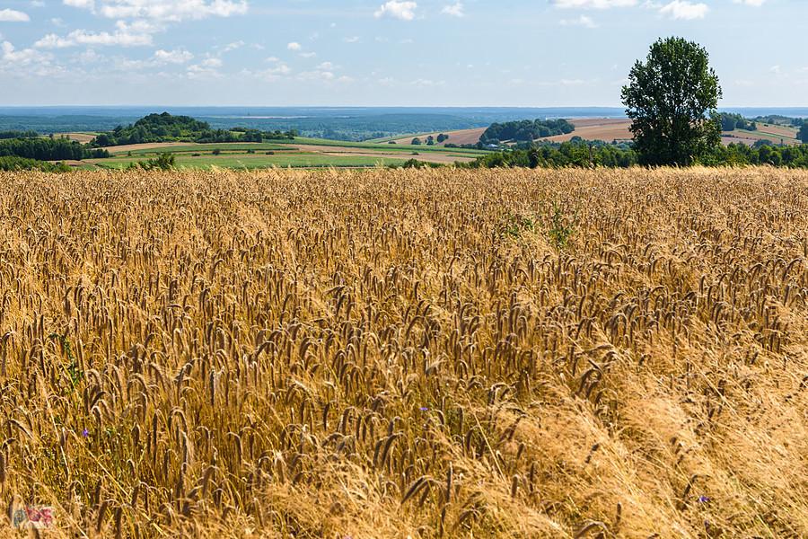 Przymiarki, Mzurów (Niegowa)