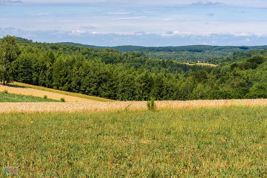 Przymiarki, Mzurów (Niegowa)