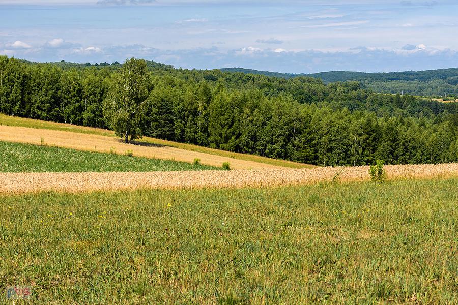 Przymiarki, Mzurów (Niegowa)