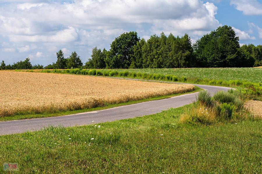 Przymiarki, Mzurów (Niegowa)