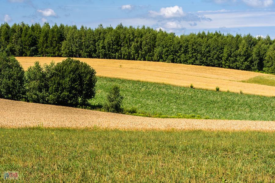 Przymiarki, Mzurów (Niegowa)