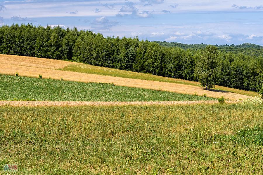 Przymiarki, Mzurów (Niegowa)
