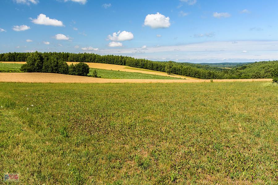 Przymiarki, Mzurów (Niegowa)