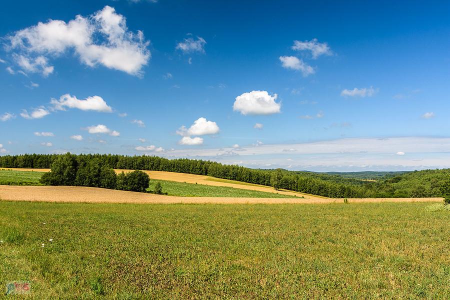 Przymiarki, Mzurów (Niegowa)