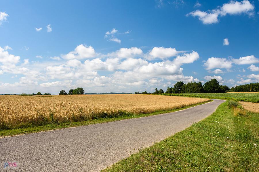 Przymiarki, Mzurów (Niegowa)