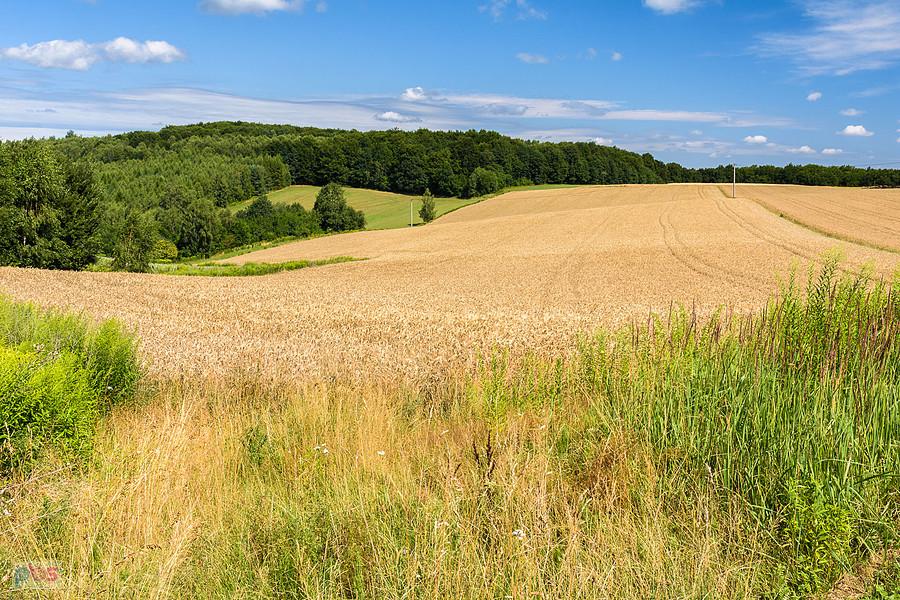 Przymiarki, Mzurów (Niegowa)