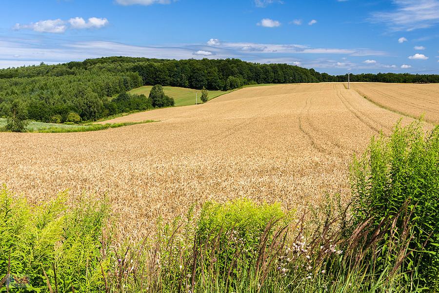 Przymiarki, Mzurów (Niegowa)