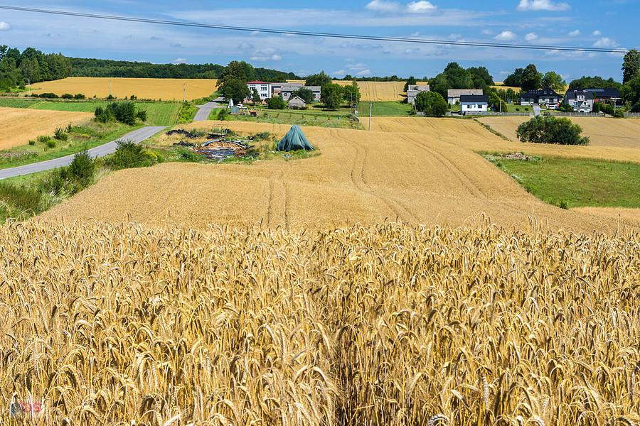 Huby Drugie - widok w stronę Przymiarek, części wsi Mzurów (Niegowa)