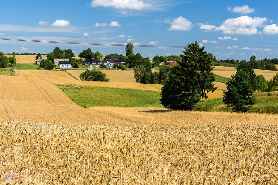 Huby Drugie - widok w stronę Przymiarek, części wsi Mzurów (Niegowa)