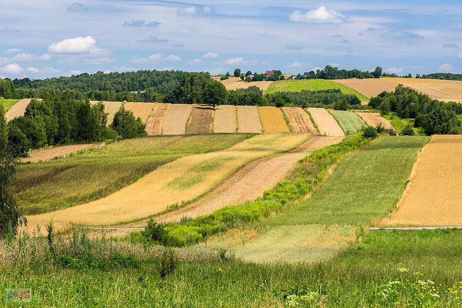 Mzurów (Niegowa)