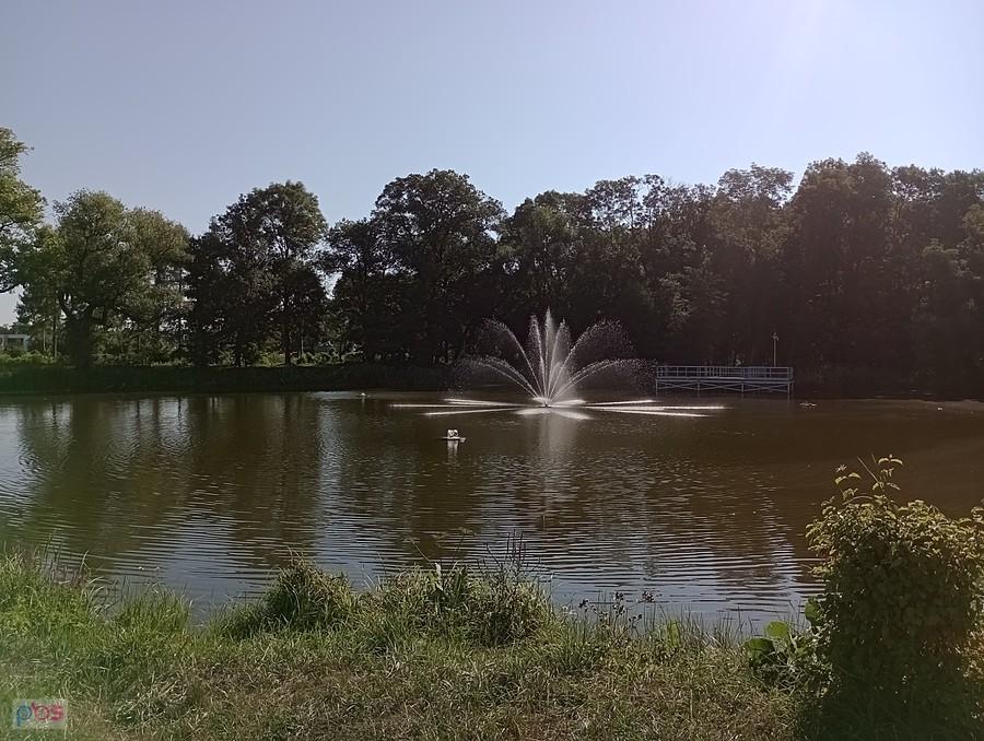 Staw w Ołtarzewie
