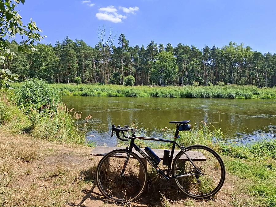 Nad Wartą w Radzewicach