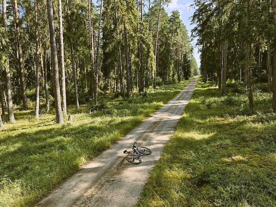 Mazurska szutrówka