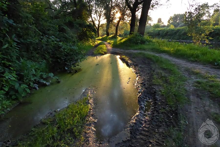 drogi rowerowe nad Olzą