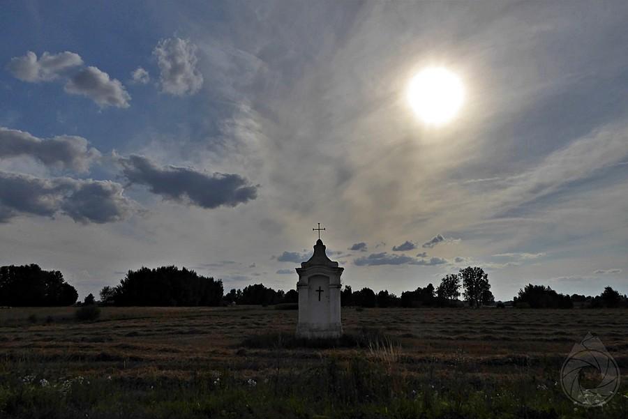 pola roztoczańskie