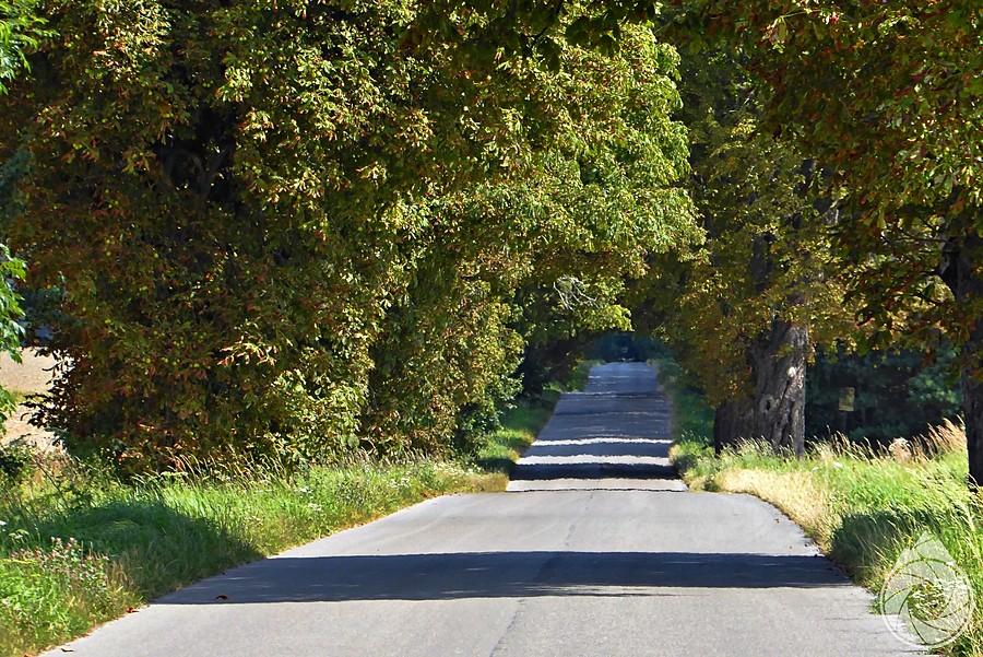 boczne drogi roztoczańskiego GreenVelo