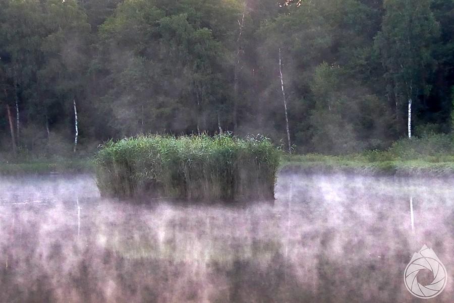 poranne mgły z wód śródleśnego zbiornika