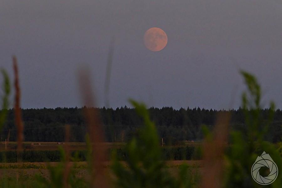 kolejna noc, kolejna pełnia