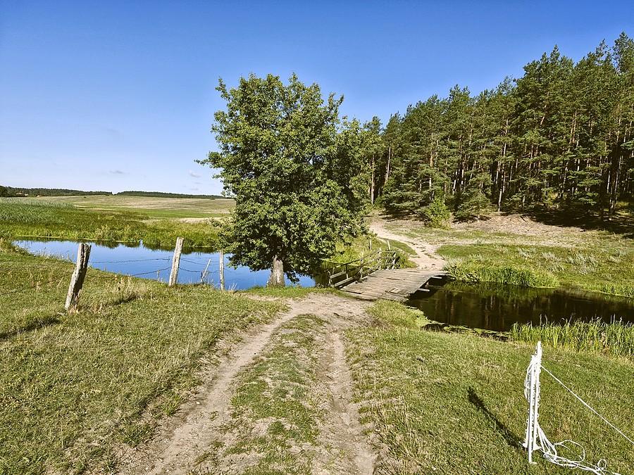 Most drewniany na Łynie