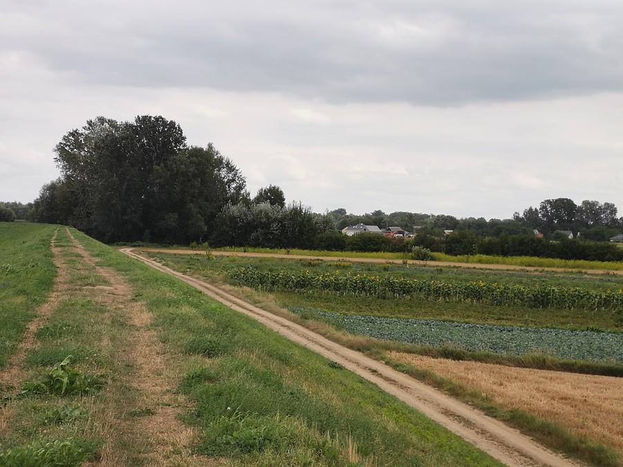 Wał wzdłuż Jeziorki