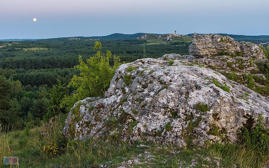 Kusięta - Góry Towarne, w tle zamek w Olsztynie.