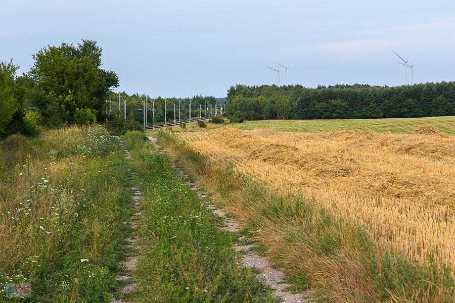Zalesice, w tle linia kolejowa D29-61 (szlak: Julianka - Koniecpol)
