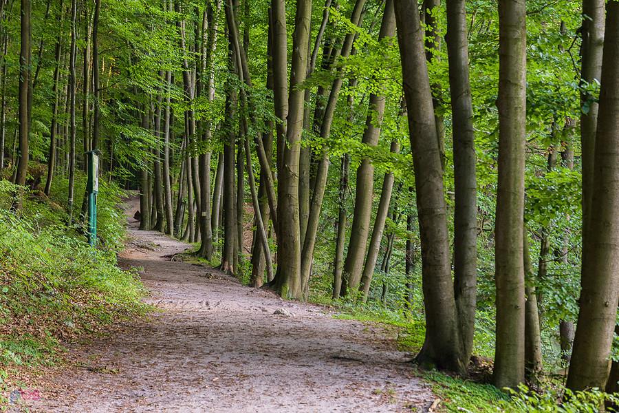 Złoty Potok - Rezerwat Parkowe