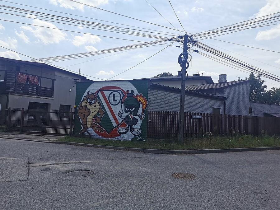 Legia w Zalesiu Grn plus pajęczyna drutów w promocji