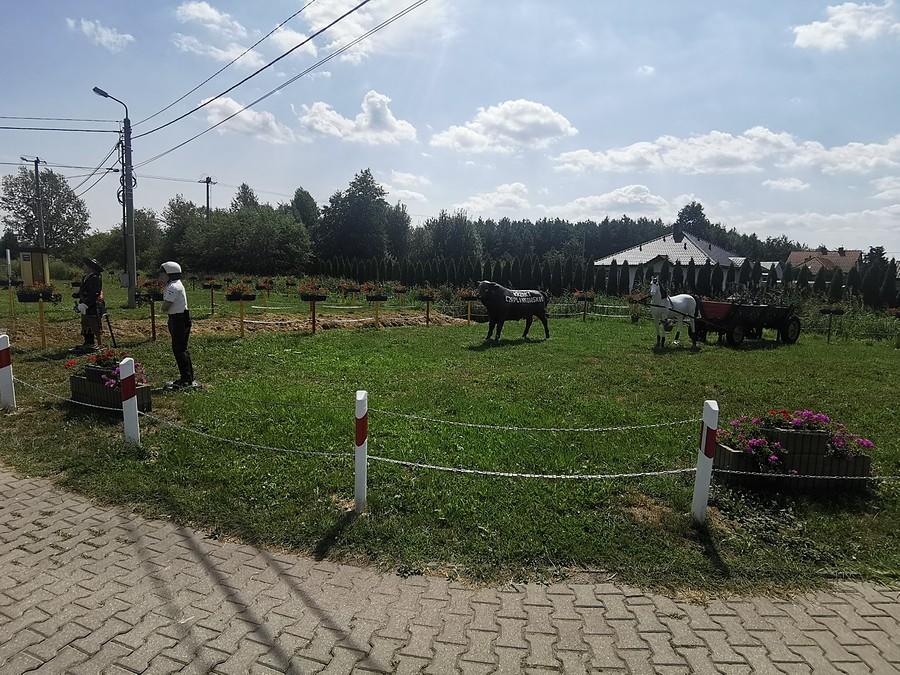 Krzaki Czaplinkowskie