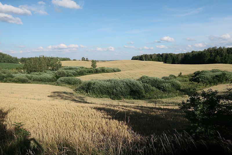 Mazurskie pagórki, typowy krajobraz jaki mijaliśmy