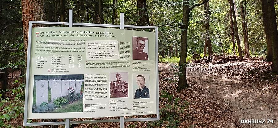 Łysa Góra - Miejsce katastrofy bombowca Liberator (gm. Dębno)