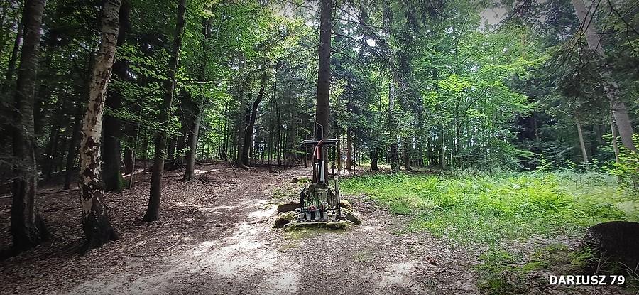 Łysa Góra - Miejsce katastrofy bombowca Liberator (gm. Dębno)