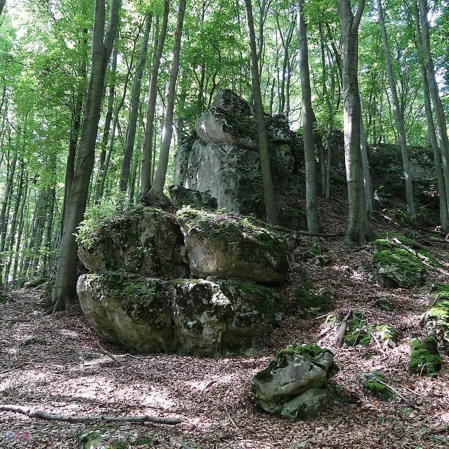 Skały na Puchaczu