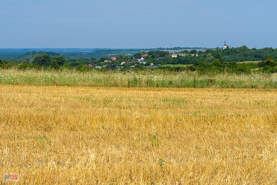 Wysoka Lelowska - widok w kierunku Przybynowa i kościoła pw. Św. Mikołaja
