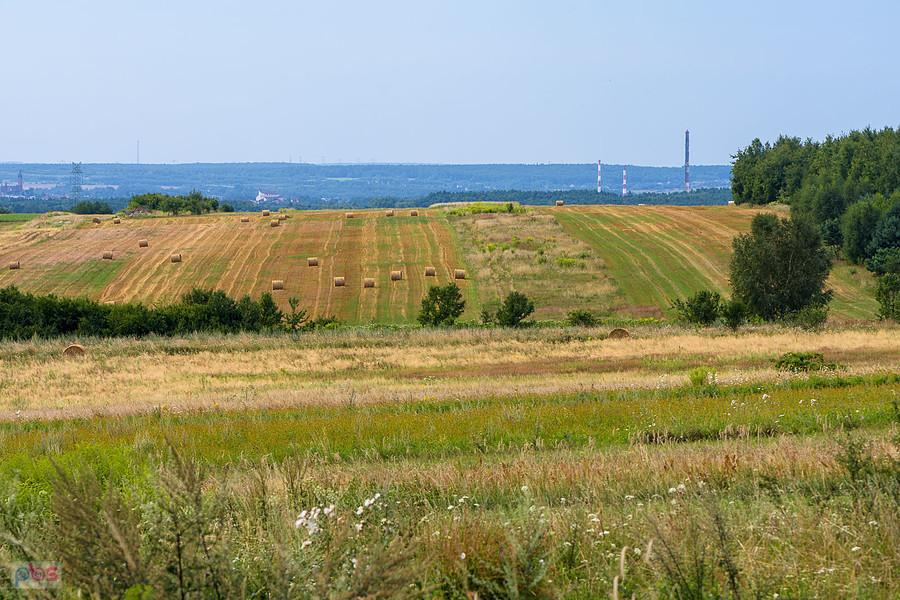 Pogranicze Wysokiej Lelowskiej i Jaroszowa -widok w kierunku Myszkowa.