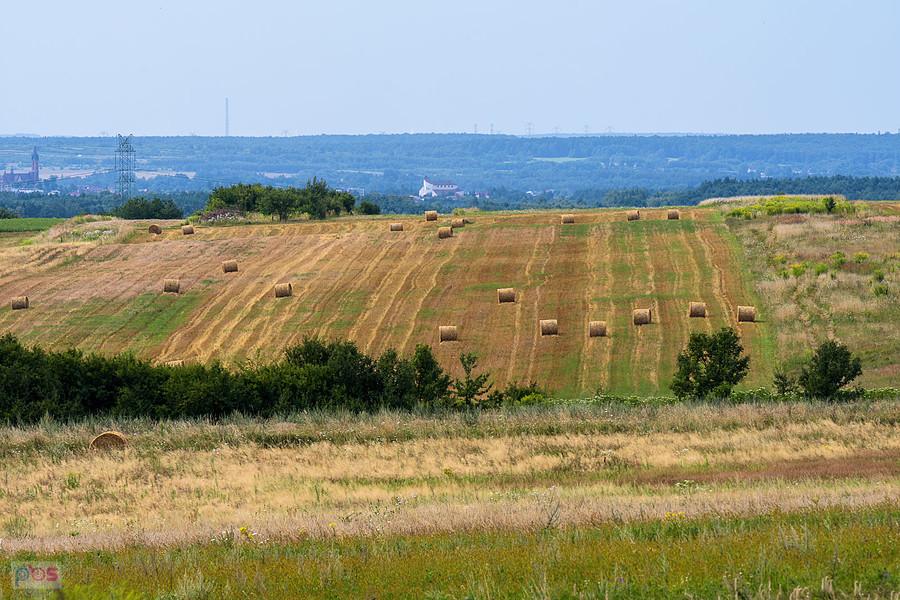 Pogranicze Wysokiej Lelowskiej i Jaroszowa -widok w kierunku Myszkowa.