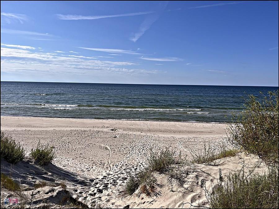 dzika plaża