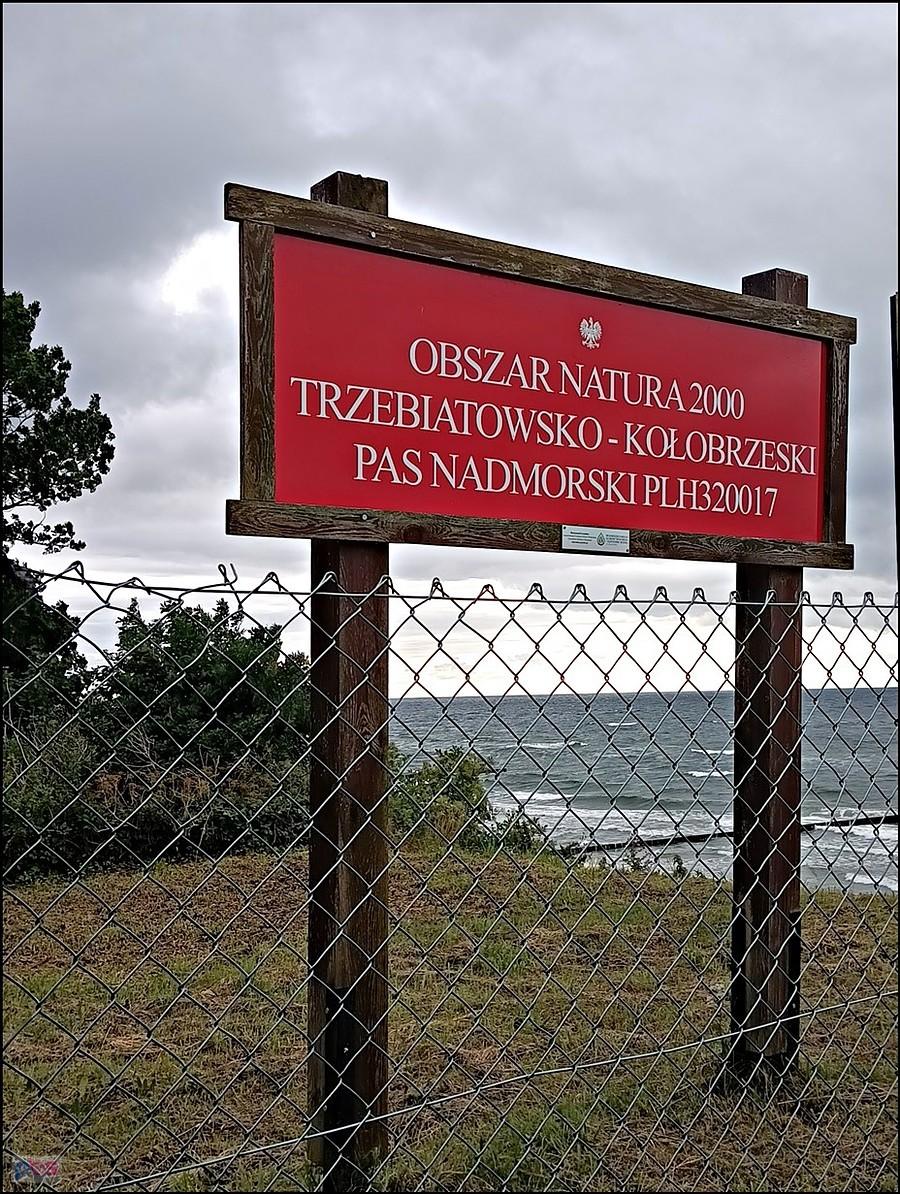 czerwona tabliczka do kolekcji