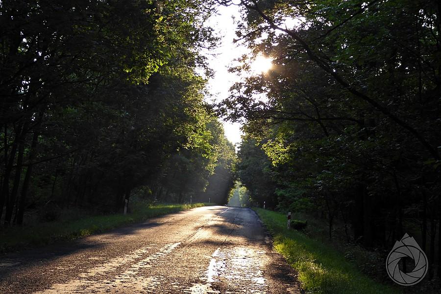 słoneczna droga na Mieszkowice