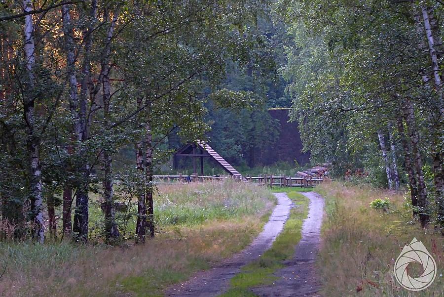 leśna droga do wiaty nad Gozdowicami