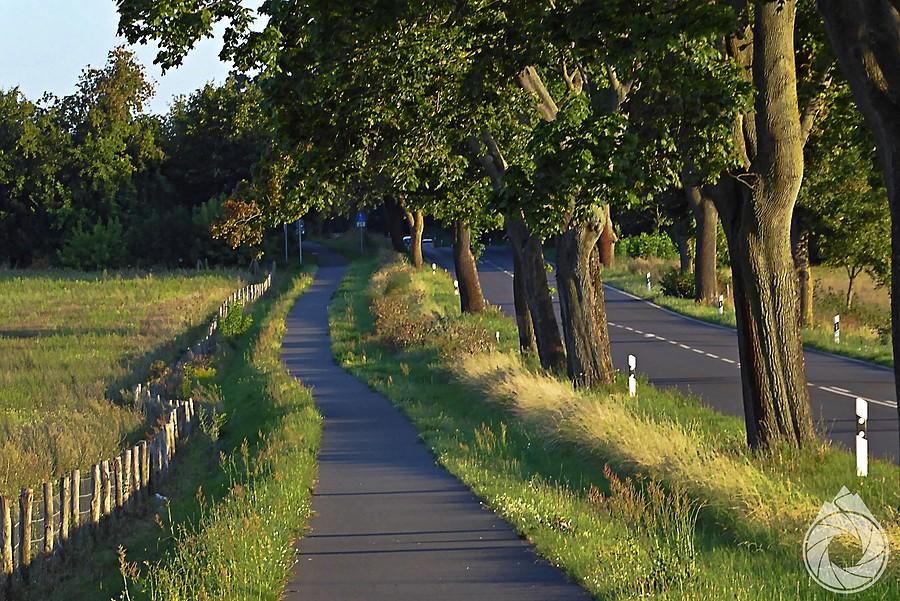 niemieckie ścieżki rowerowe późnym popołudniem