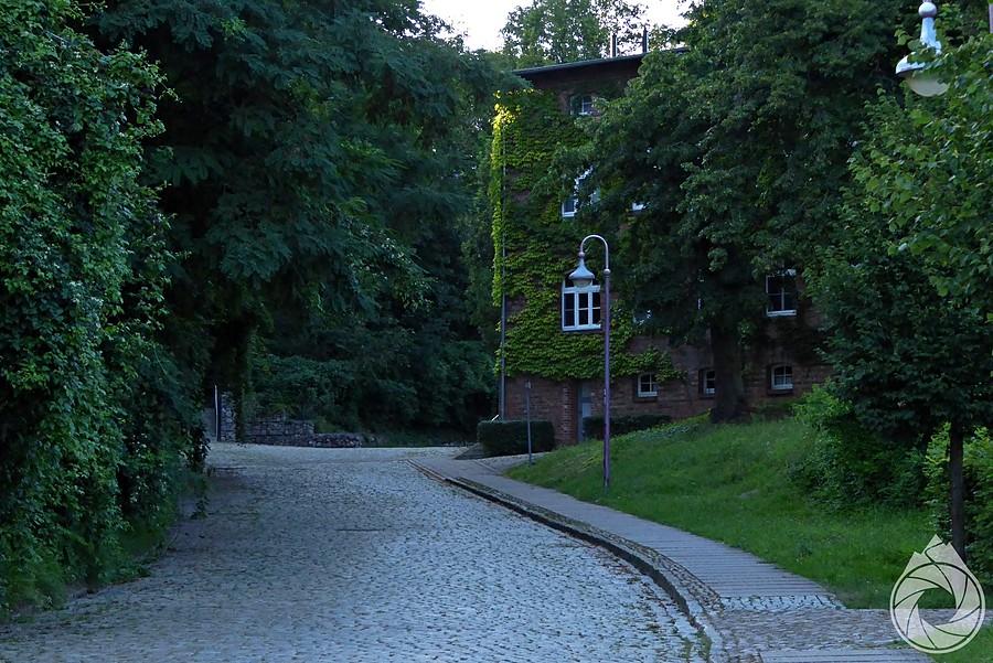Ulica brukowana w Amt Lebus