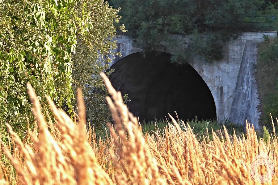 Tunel kolejowy w lesie