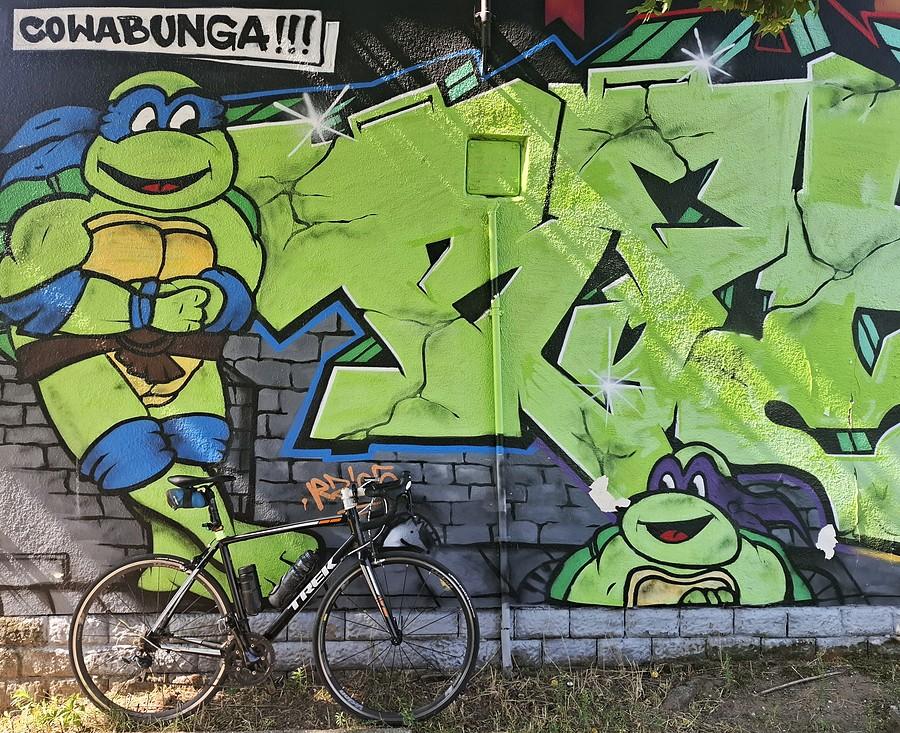 Leonardo i Donatello