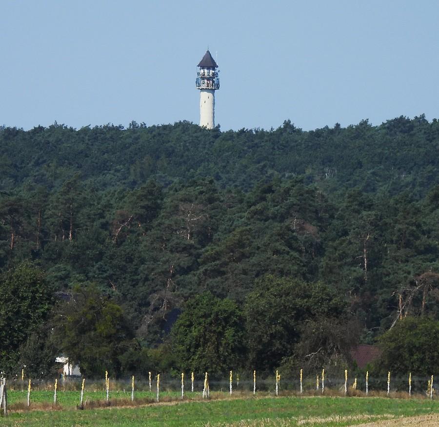 Dziewicza Góra