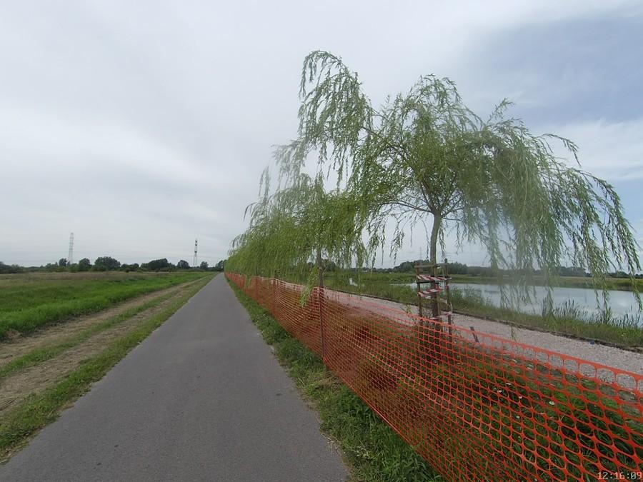 Ddr wzdłuż stawów w Michałowicach