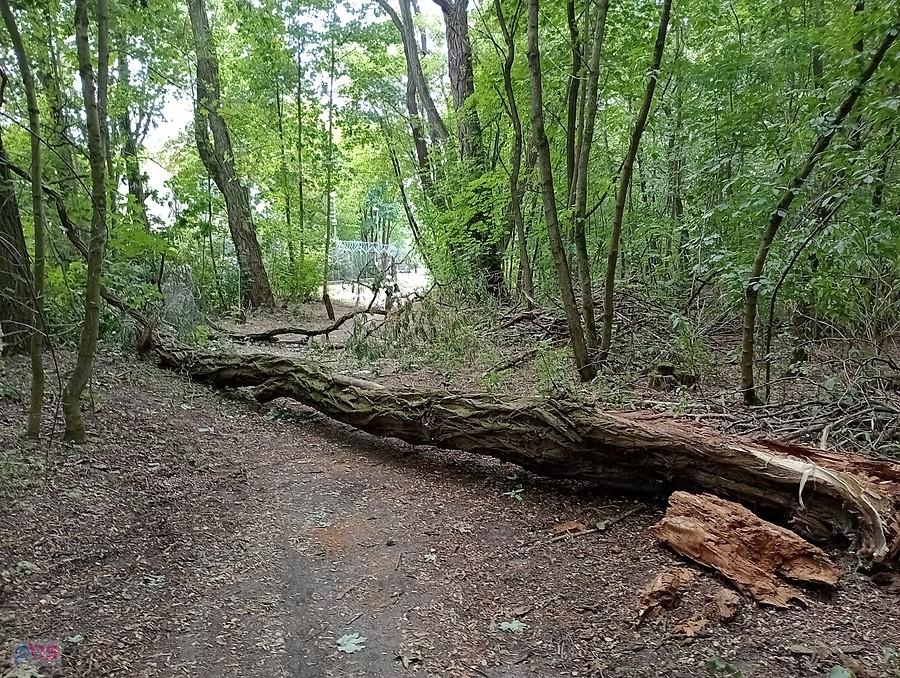 Naturalna przeszkoda